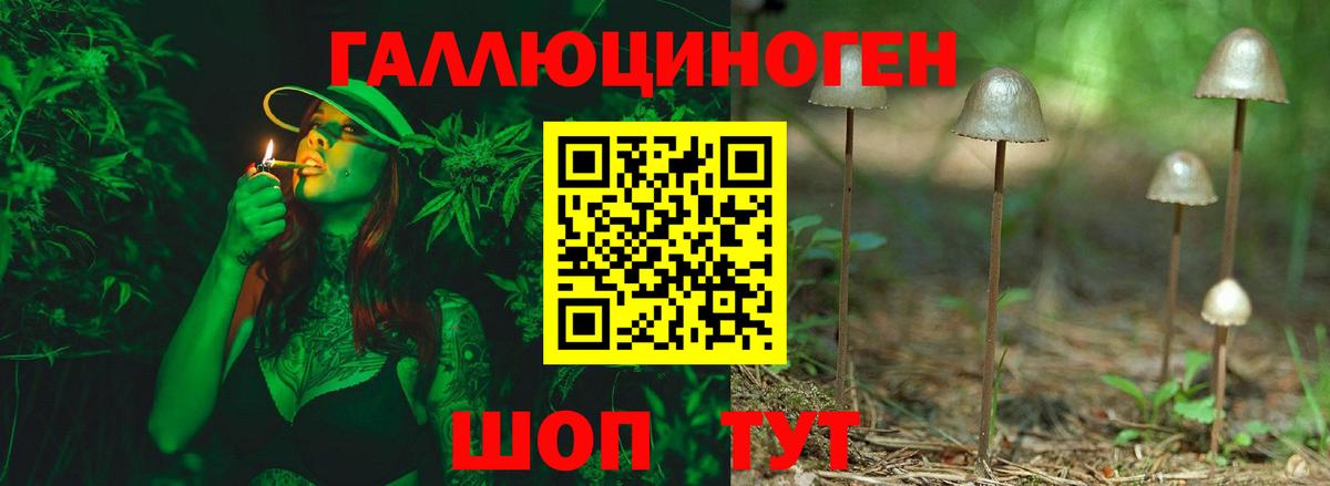 Фролово  где найти   Вход с VPN  Галлюциногенные грибы Psilocybine cubensis 